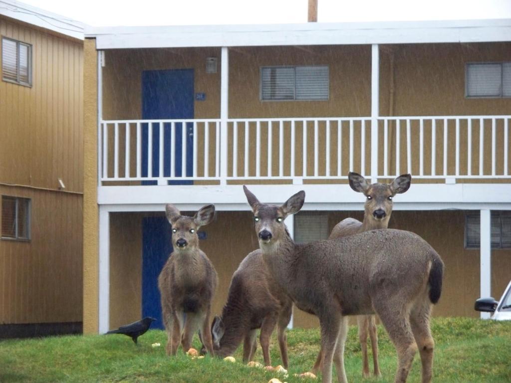 Hotel The Sands